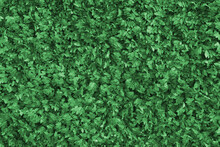 生垣のテクスチャ 緑の葉の背景素材