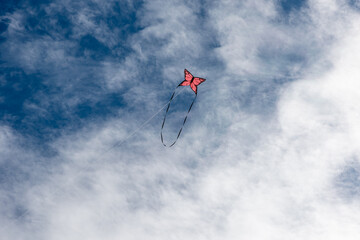 Wall Mural - colorful kites flying over the sky
