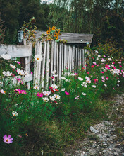 Beautiful View Of Wooden Gates And Flowers In The Yard
