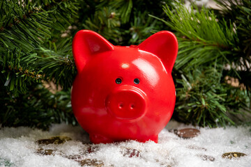 Wall Mural - Red piggy bank on gold coins covered with snow and Christmas green spruce branches. Success concept.