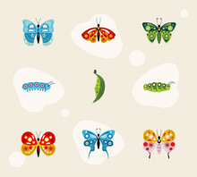 Nine Butterflies And Caterpillars