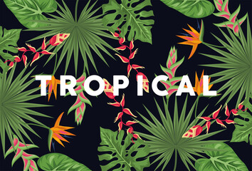 Poster - exotic tropical plants background