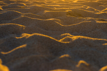 Poster - Texture of sandy dunes at bright sunset