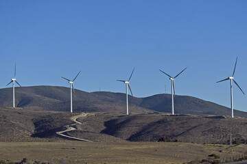 Poster - Blue sky over the field with rows of wind turbines on a sunny day in Chile