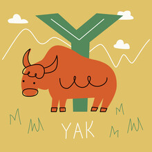 Vector Flat Illustration For Children's Alphabet. The Letter Y And A Yak In The Background.