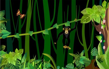 Wall Mural - Tropical jungle scene ape hanging on liana in the jungle vector illustration