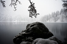 Winter Scenery With A Lake Reflecting Snowy Coniferous Trees, And A Rock In The Foreground