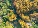 Fototapeta Pomosty - Autumn scenery in Wuhan Botanical Garden, Hubei, China