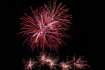 Canvas Print - Colorful fireworks lights on the sky background at night