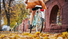 Rear View And Close Up Young Woman Riding On Blue Bicycle In Centre City In Autumn Park. Concept Of Riding On Blue Bicycle In Middle Fallen Leaves In Autumn.