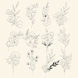 botany icons black white retro handdrawn sketch