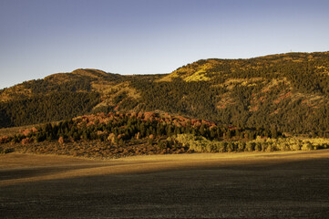 Sticker - Scenery of highlands with autumnal trees on a sunny day