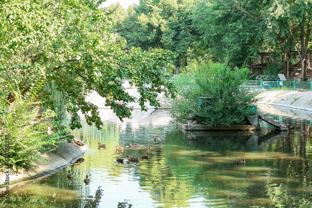 Beautiful green park with pond