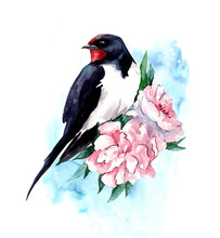 Watercolor Illustration Of A Swallow And Peonies On A Blue Watercolor Background. Spring. Bird Day.