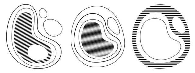 Wall Mural - set of 3 abstract liquid shapes. vector design elements, striped shapes. banners with flowing liquid
