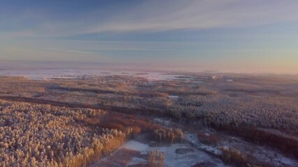Wall Mural - High above flight over winter forests and fields, 4k AERIAL.