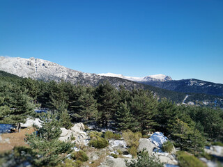 Sticker - Scenic view of trees on a terrain under a blue sky in Sierra de Guadarrama, Spain during winter