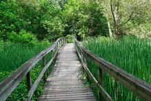 Boardwalk In A Nature Park Across A Natural Wetland Area