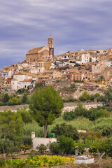 Wall Mural - Cityscape of Cohesin under the cloudy sky in Murcia, Spain