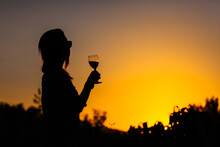 Silhouette Of A Girl Holding Wine Glass On Sunset In Nature Near Vineyard Field. Celebrating Success