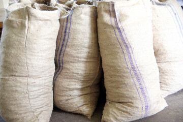 Wall Mural - Closeup shot of cement in bags