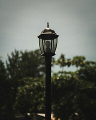 Canvas Print - Vertical shot of a retro streetlight on the background of green trees under a clear sky