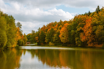 Canvas Print - Beautiful shot of yellowing trees and a calm lake on an autumn day