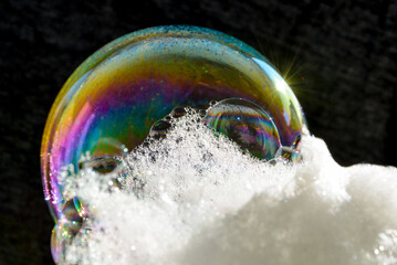 Poster - Magical soap bubble with iridescent colors on a black background