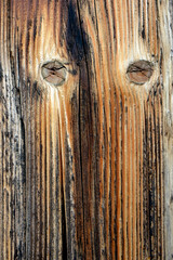 Canvas Print - Vertical shot of a brown wood texture