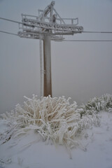 Wall Mural - Electric pole in a winter field on a gloomy day