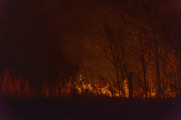 Poster - Dangerous wildfire of Siberia near Novosibirsk, Russia in October 2021