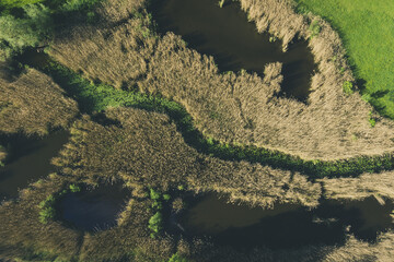 Wall Mural - Aerial shot of a muddy river surrounded by green grass fields