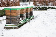 Beehives In Snow