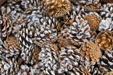 Wall Mural - Many pine cones in traditional christmas market. Silver and gols. 