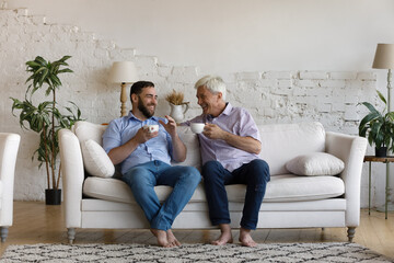 Carefree relaxed sincere happy two male generations family, young son and elderly senior father involved in pleasant conversation, talking sharing life news, drinking hot tea or coffee at home.