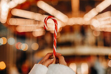 Female Hands Holding Red White Cane Sweet Lollipop Against The Background Of Golden Garland Lights. Christmas Holiday Magic Details