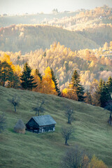 Poster - Beautiful view of the landscape with a hut and large autumn trees