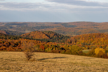 Wall Mural - autumn landscape in the mountains