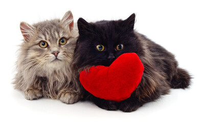 Canvas Print - Kittens with toy heart.