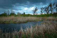 Dark Clouds Over The Pond With Reeds