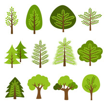 Collection Of Trees. Tree Set Isolated On White Background. Vector Illustration.	