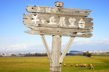 Canvas Print - 北海道 札幌 羊ヶ丘展望台