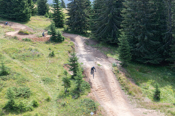 Sticker - Aerial view of mountain biking slope in the trees, Morzine, Portes du Soleil, Alps, France