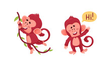 Cute Funny Monkeys Actions Set. Little Baby Animals Swinging On Vine And Saying Hi Vector Illustration