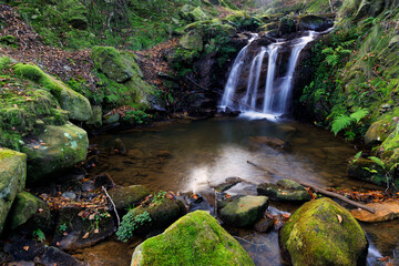 Wall Mural - belaustegui beech forest, gorbea natural park, biscay, basque country, spain