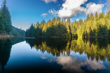 Forest And Lake Landscape, Loon Lake, Maple Ridge, British Columbia, Canada