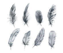 Watercolor Feathers Set. Hand Drawn Isolated  Illustration On White Background