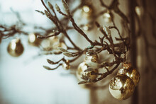 Close-up Of Christmas Baubles Hanging On Pussy Willow Branches
