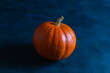 Orange hokkaido pumpkin on dark background, vegan or vegetarian concept.