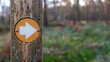 © WD Stock Photos - Yellow hiking trail marker pointing the direction in the woods